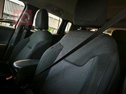 جيب رينيجيد